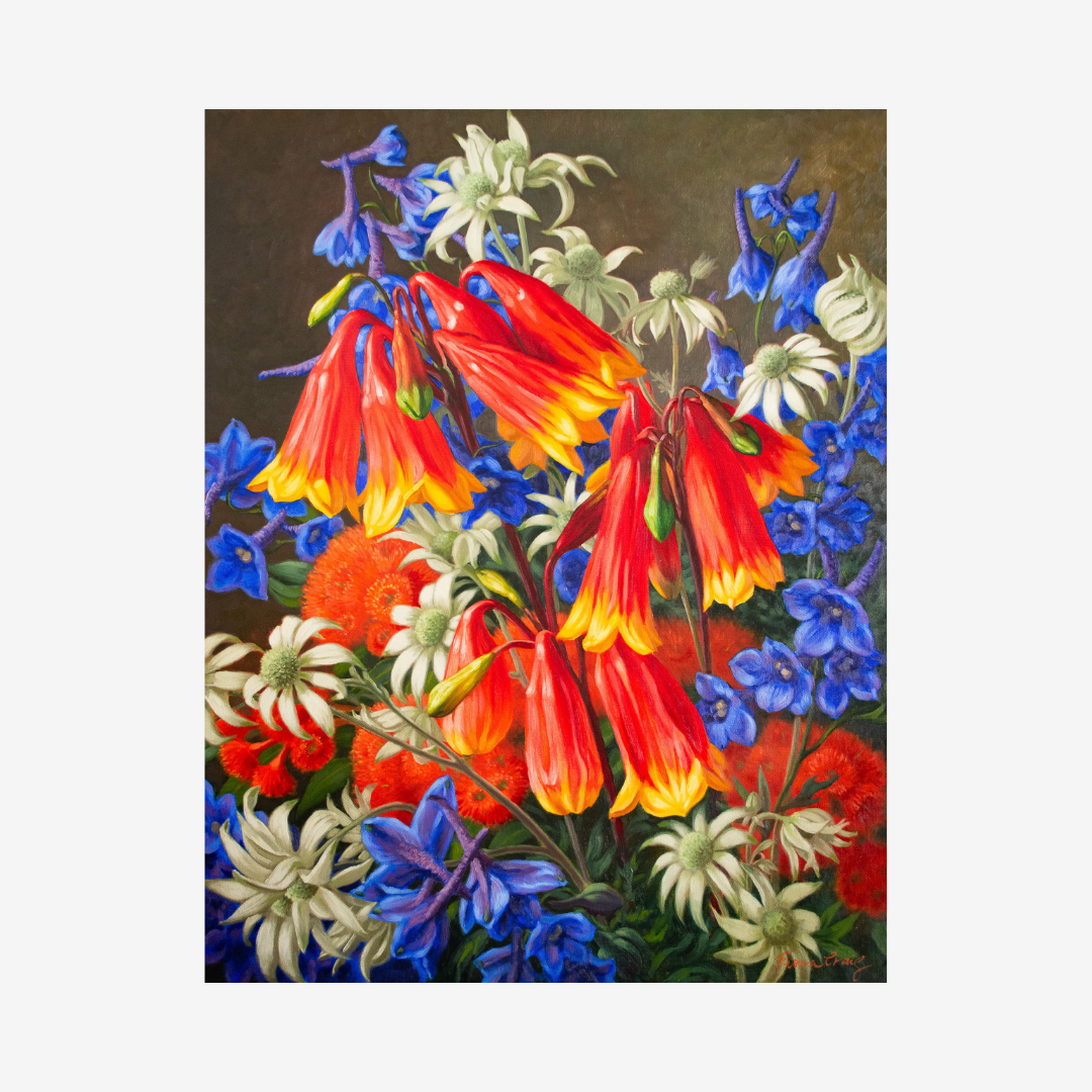 Blandfordia and Flannel Flowers, 2023
