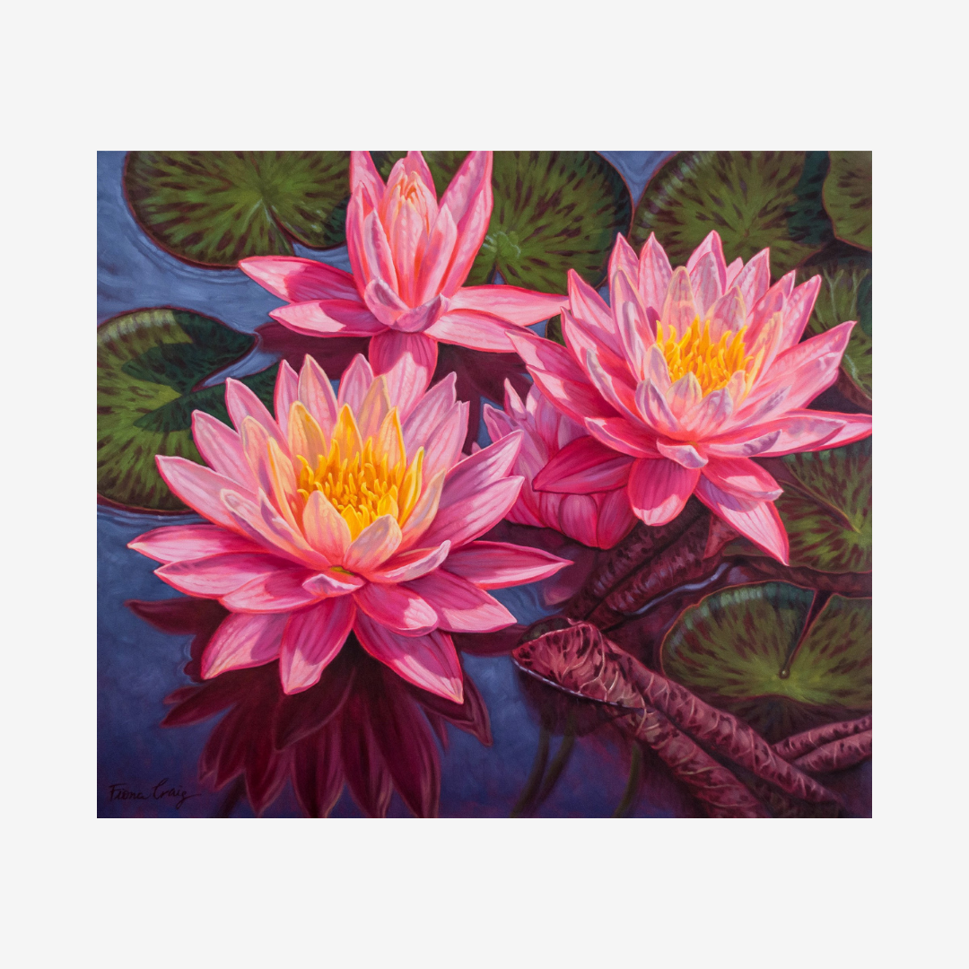 Water Lilies-1
