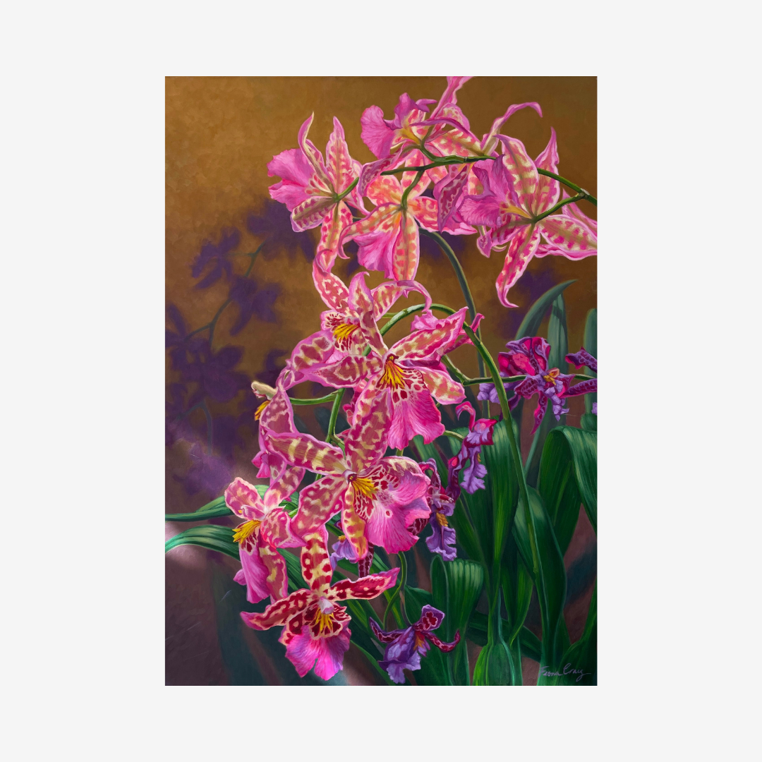 Orchid Fever 3, 2022