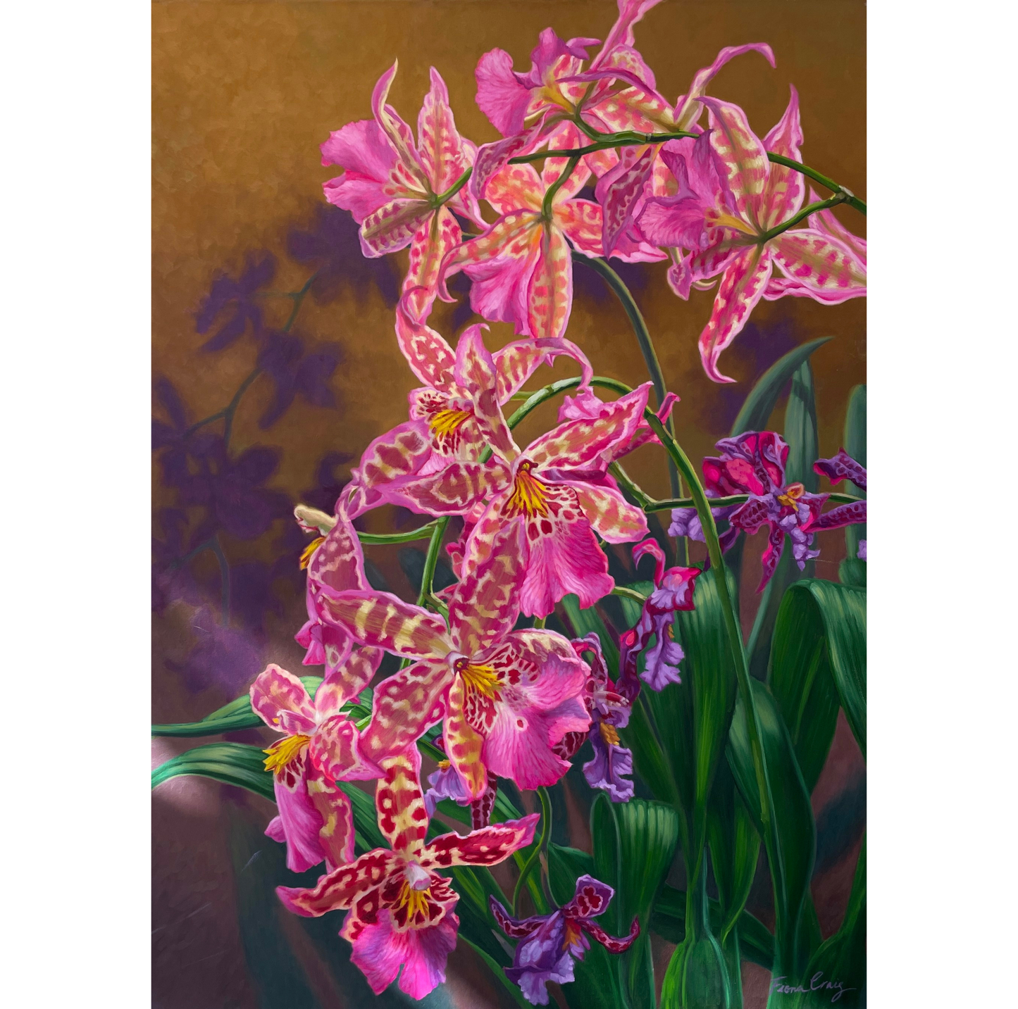 Orchid Fever 3, 2022