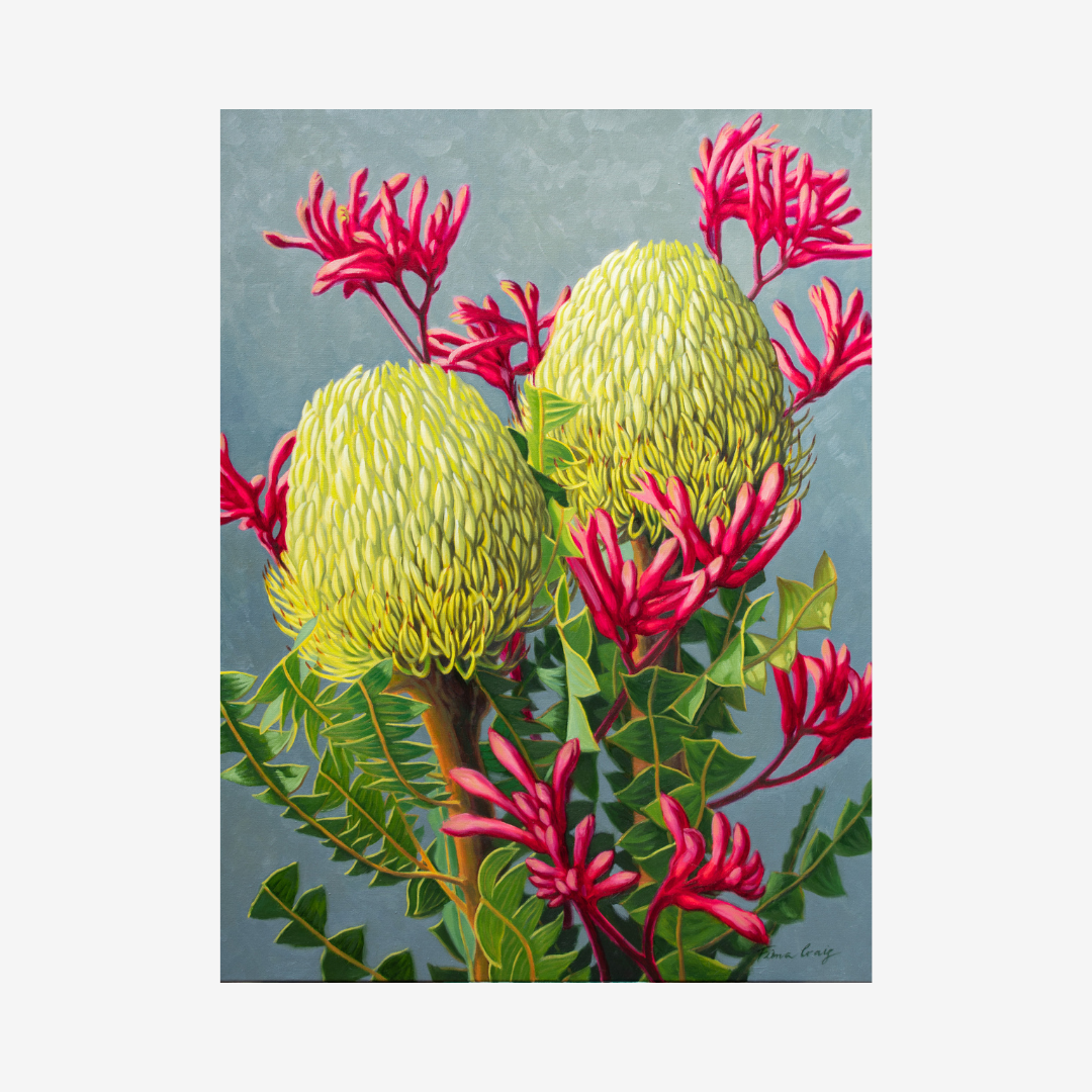 Banksias and Red Kangaroo Paw, 2024