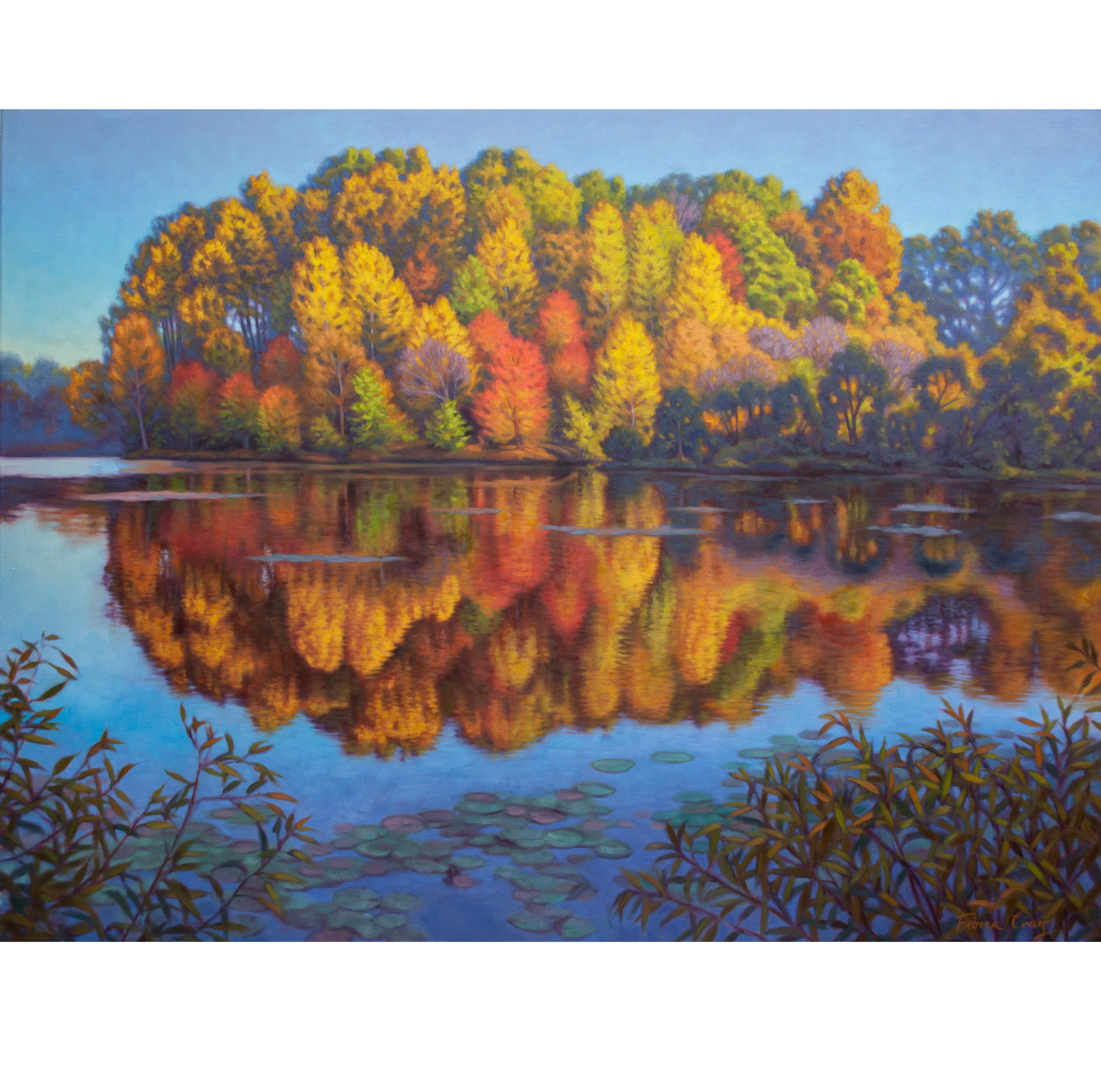 Eye Dazzler Autumn, 2024