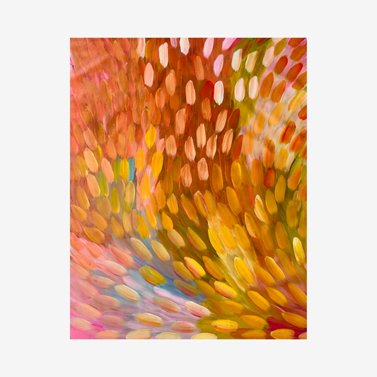 Bush Medicine Leaves, 2012