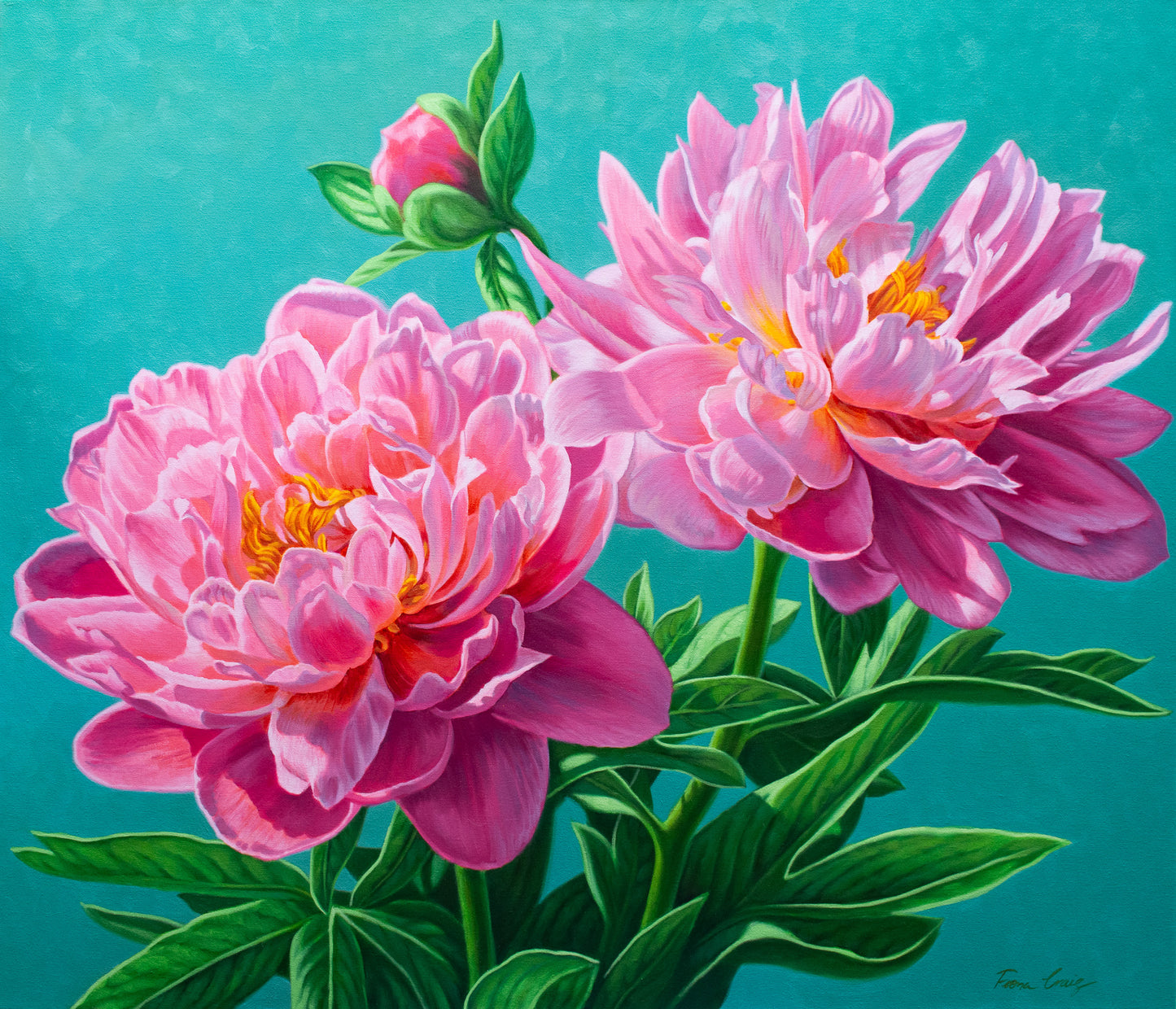 Coral Pink Peonies, 2025