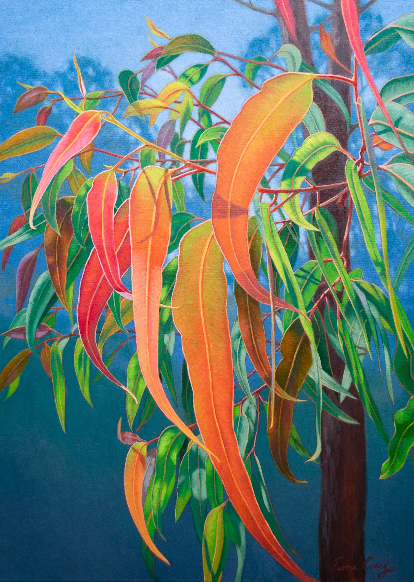 Blue Mountains Gumleaves, 2025