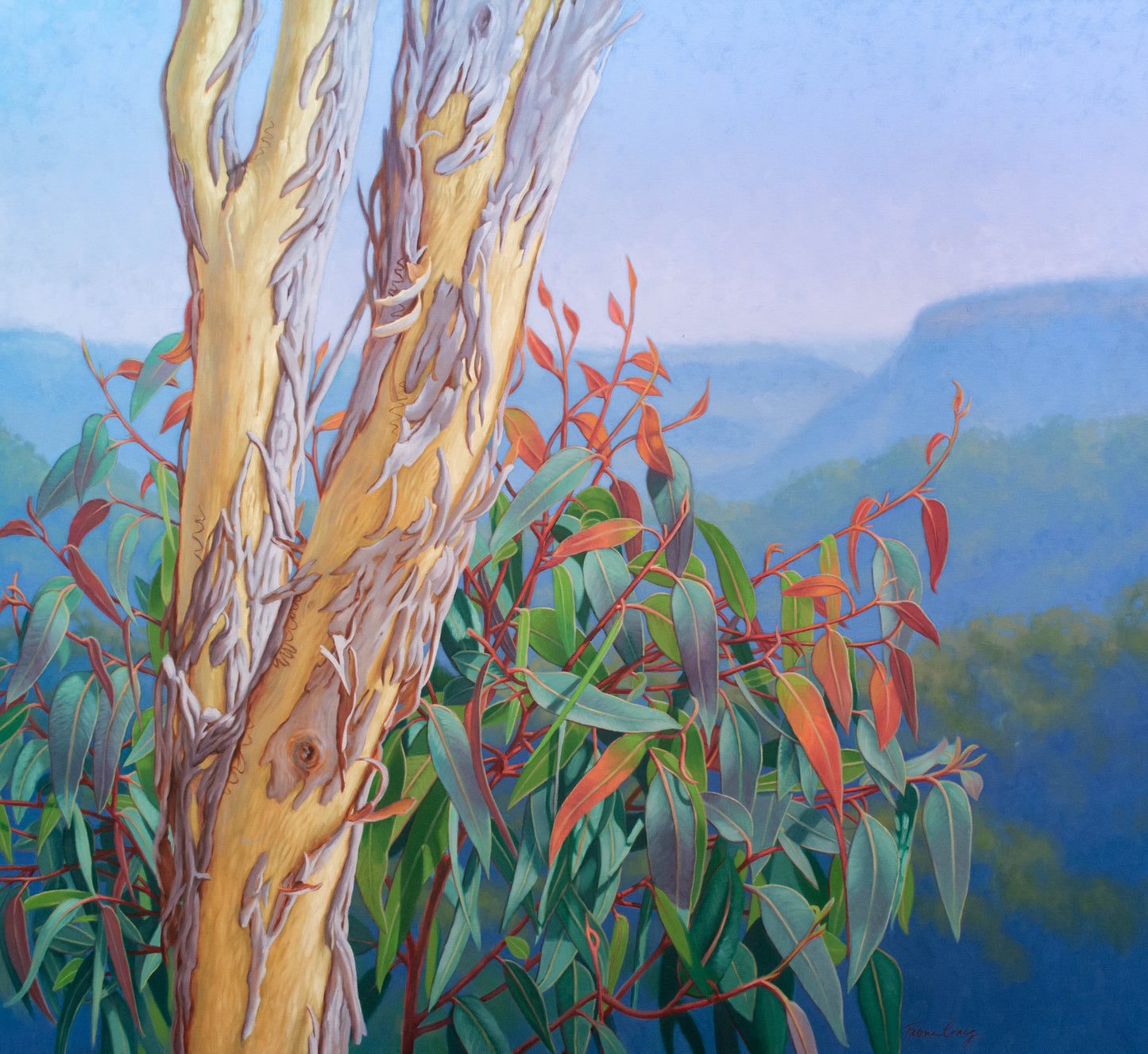 Rejuvenation, Blue Mountains, 2025