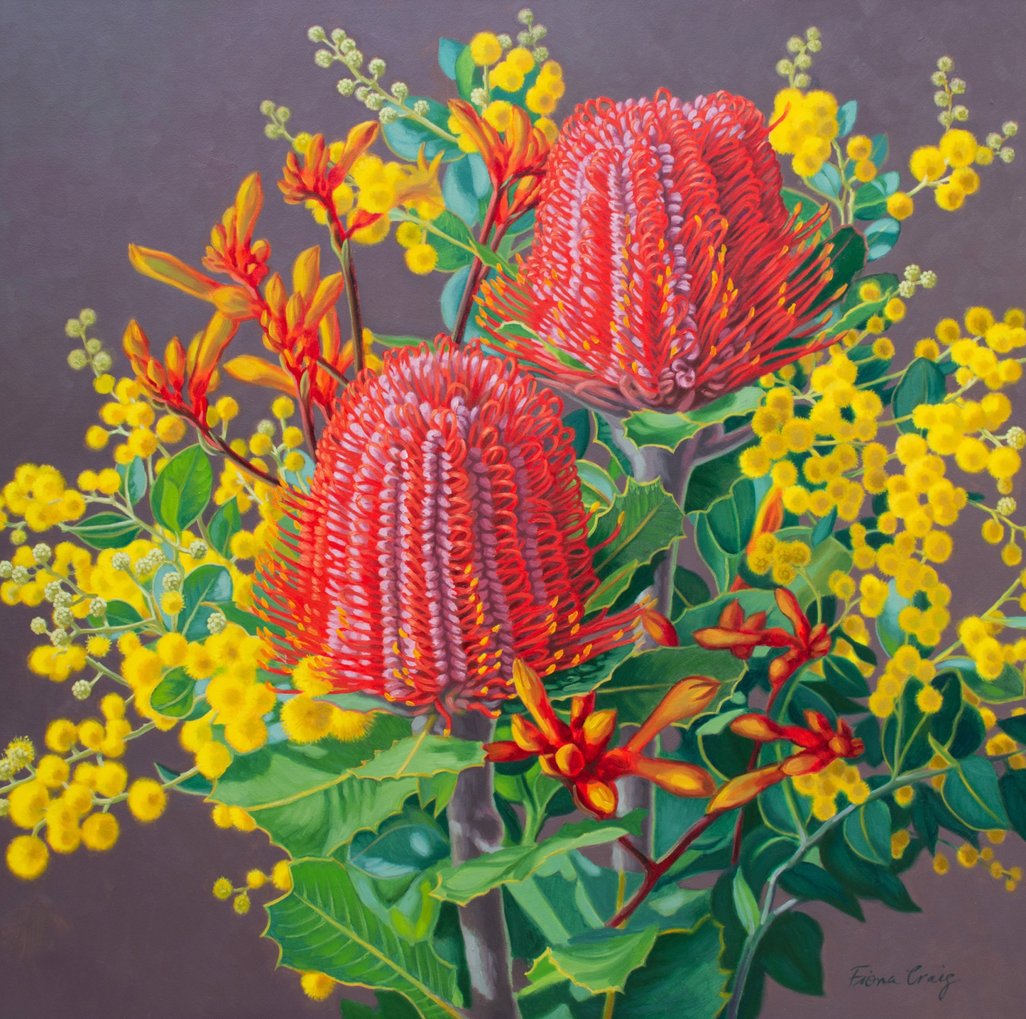 Scarlet Banksias and Wattle, 2, 2023
