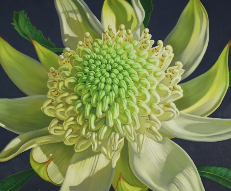 Green Waratah, 2024