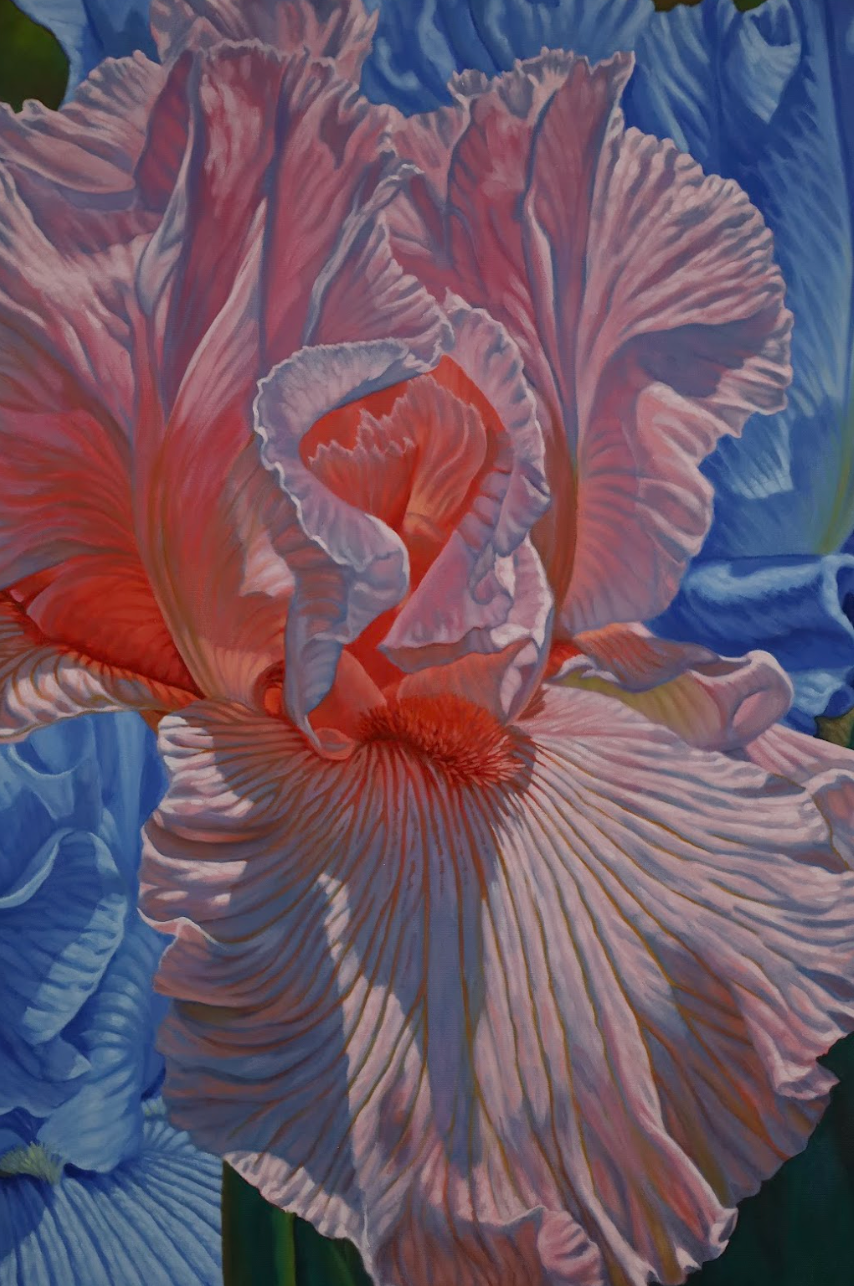 Floral Scape 1; Pink and Blue Irises, 2022