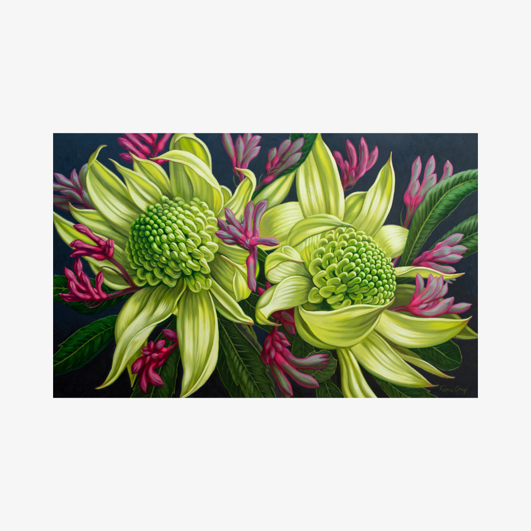 Green Waratahs and Pink Kangaroo Paws, 2025
