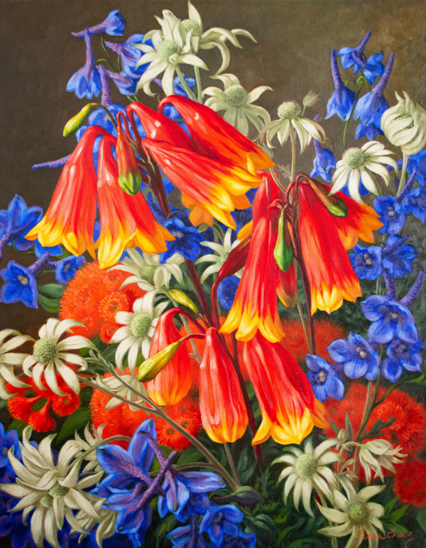 Blandfordia and Flannel Flowers, 2023 — alternate view
