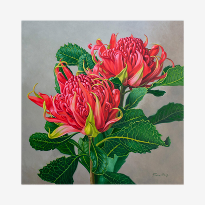 Red Waratahs