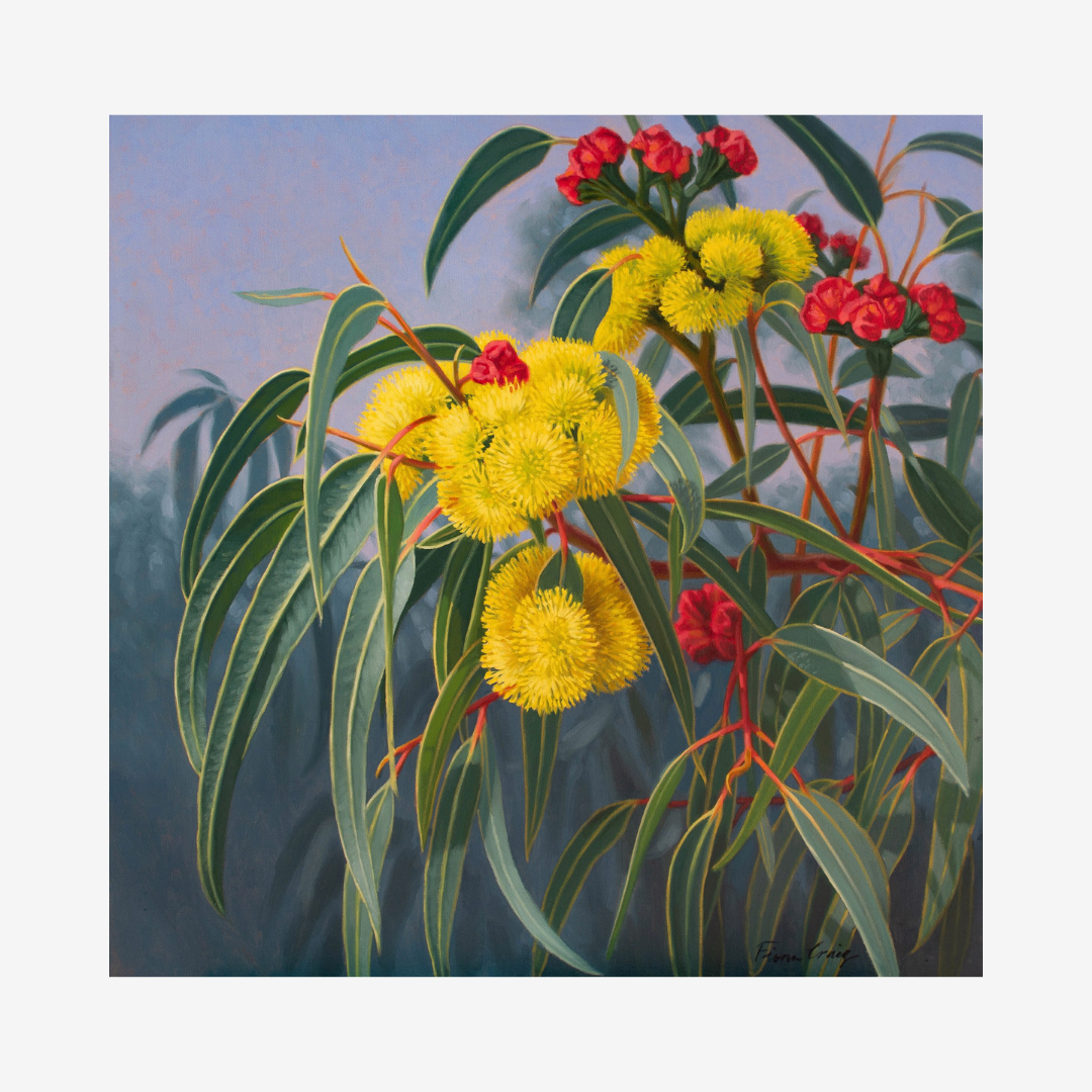 Yellow Gumblossoms