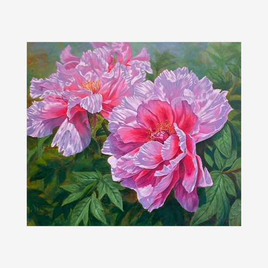 Symphony of Peonies 5, 2022