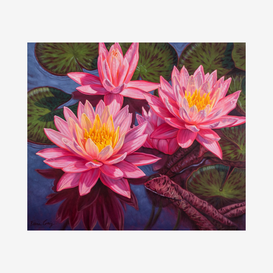 Water Lilies-1