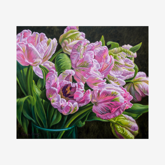 Tulipomania Pale Pink Parrots