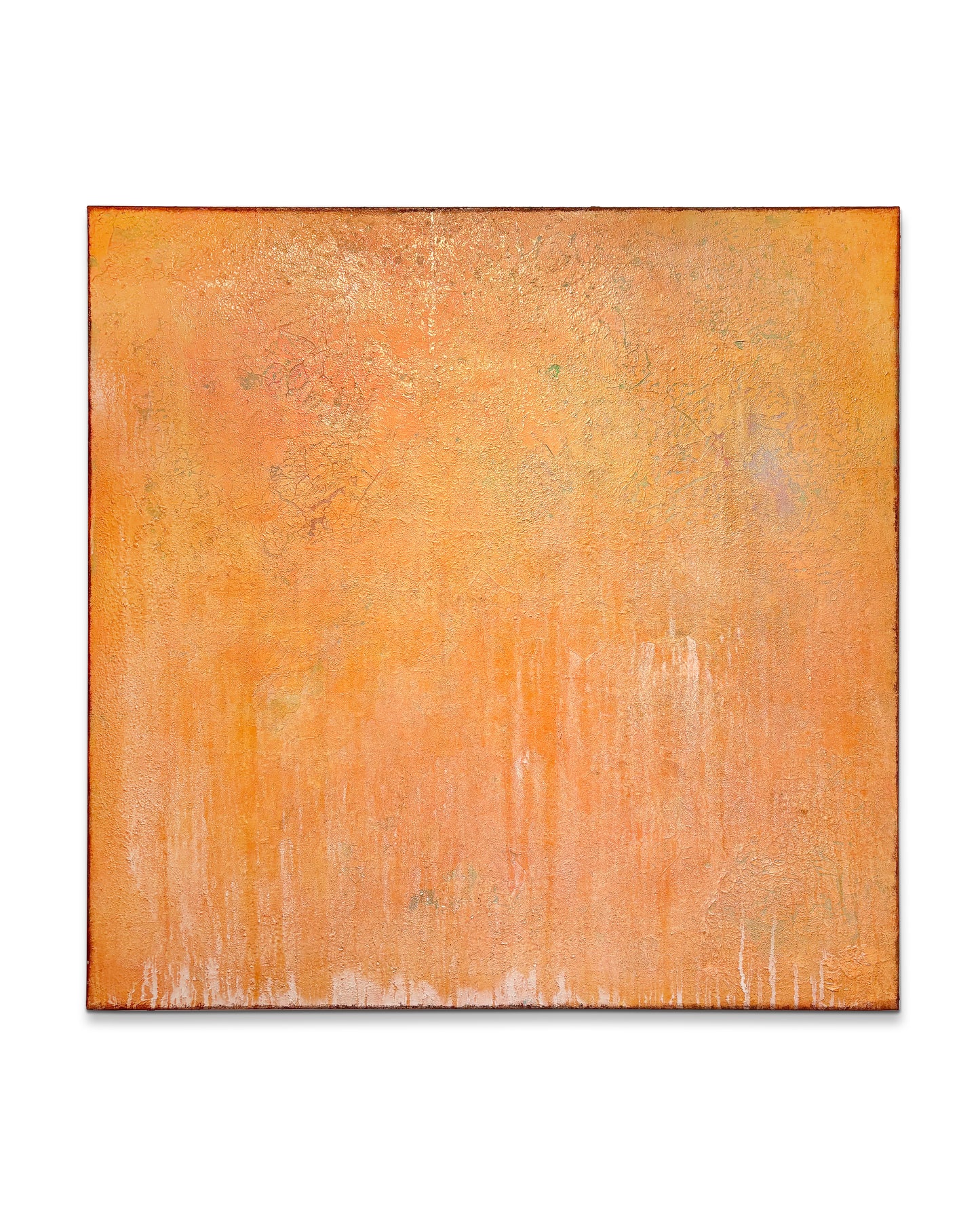 Tales of an orange tree, 2025