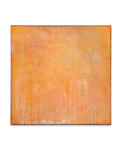 Tales of an orange tree, 2025