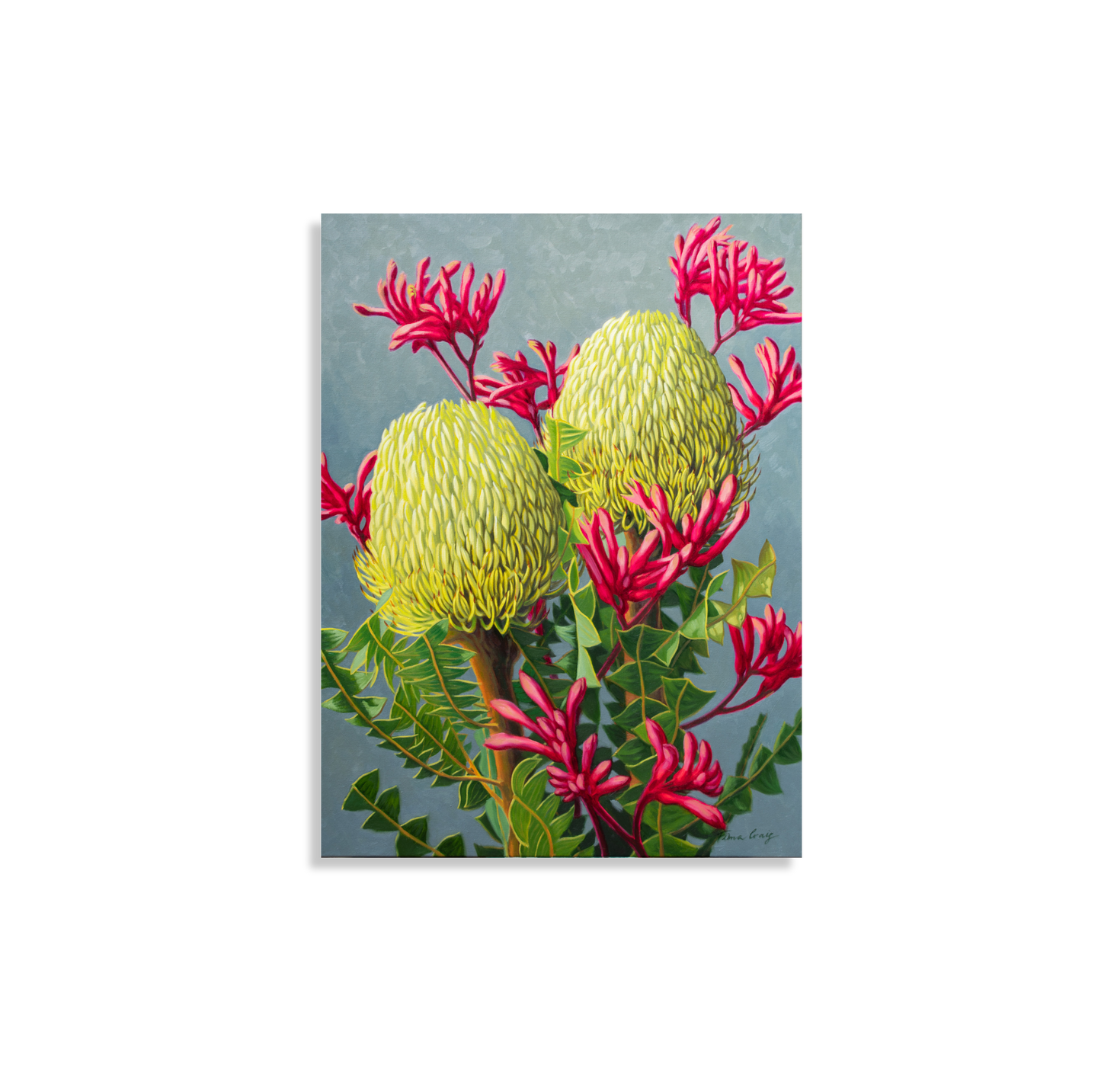 Banksias and Red Kangaroo Paw, 2024