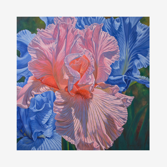 Floral Scape 1; Pink and Blue Irises, 2022