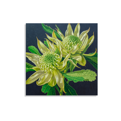 Green Waratahs on Indigo