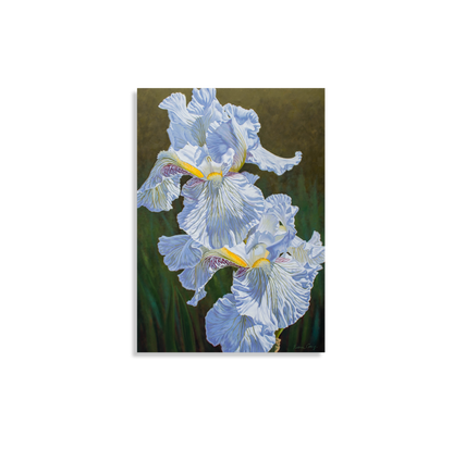 White Irises