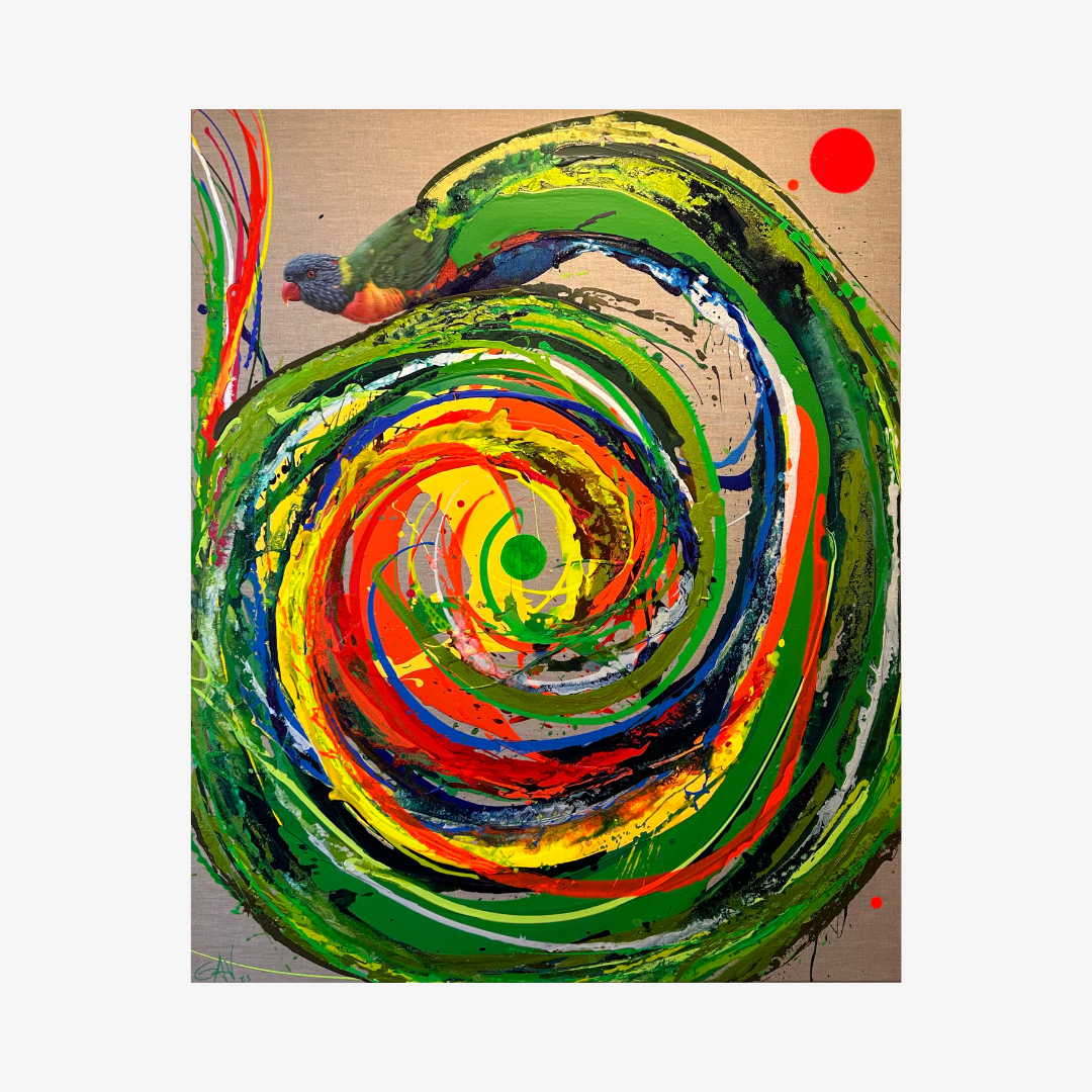 Rainbow Lorikeet, 2023