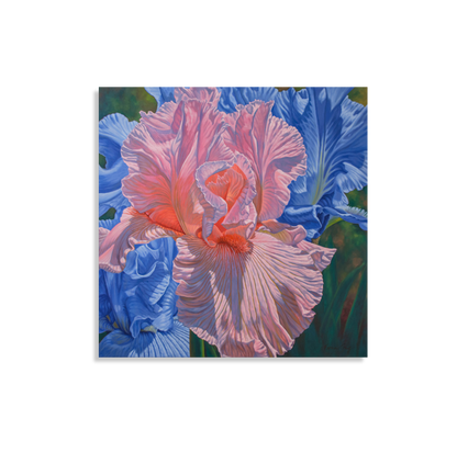 Floral Scape 1; Pink and Blue Irises, 2022