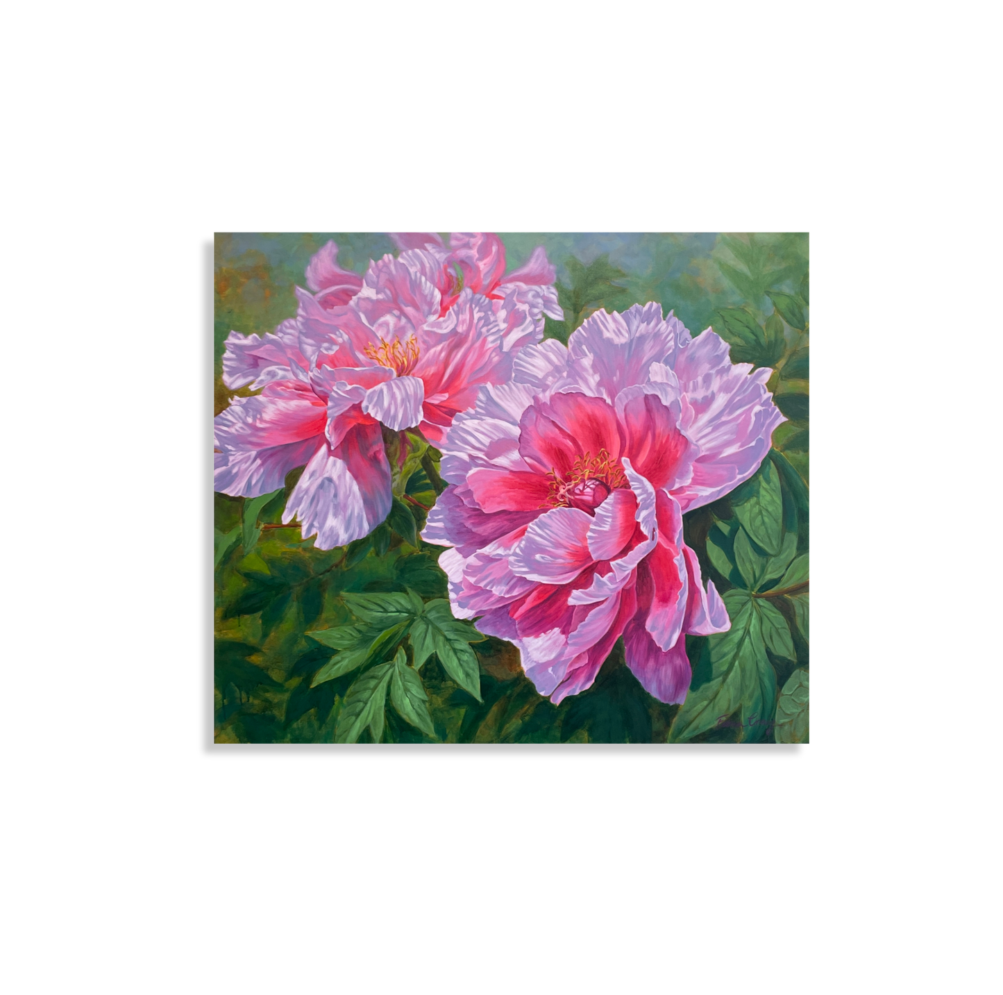 Symphony of Peonies 5, 2022