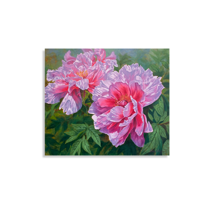 Symphony of Peonies 5, 2022