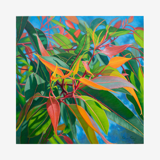 Sunlit Gumleaves, Blue Mountains, 2023
