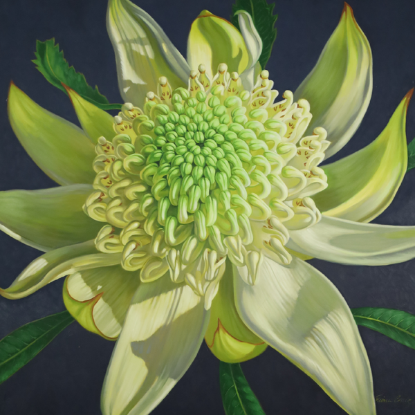 Green Waratah, 2024 — alternate view