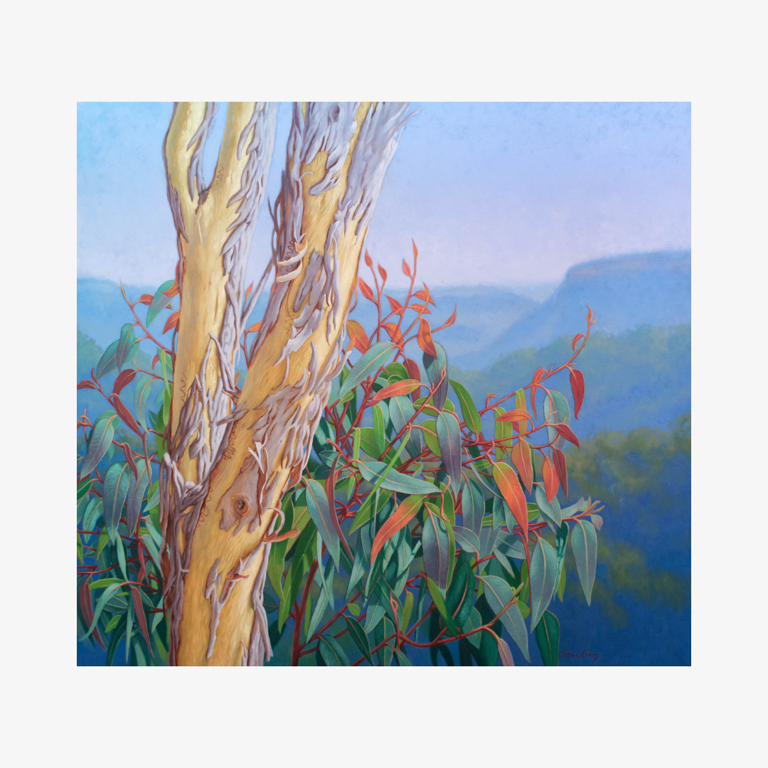 Rejuvenation, Blue Mountains, 2025