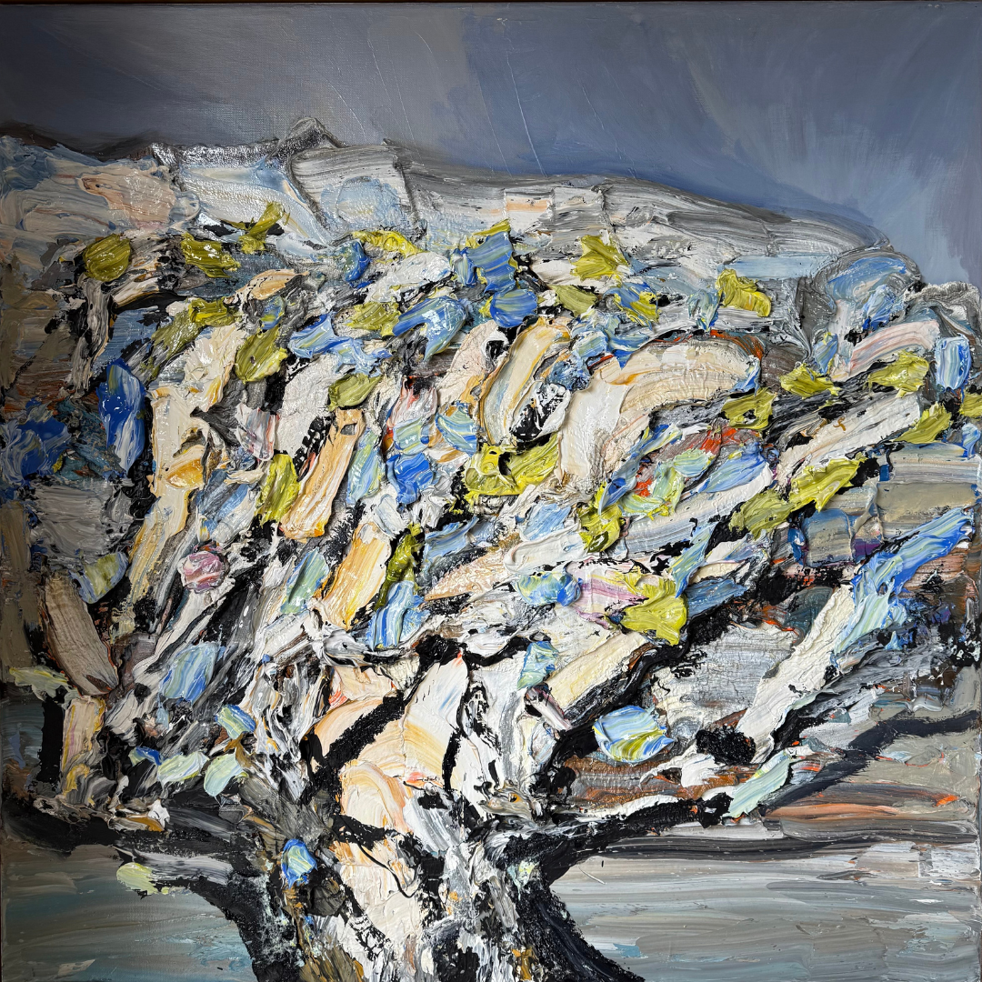 Dig Tree, 2025
