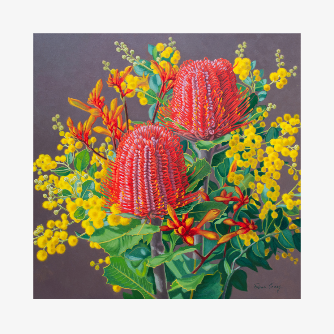 Scarlet Banksias and Wattle 2, 2025