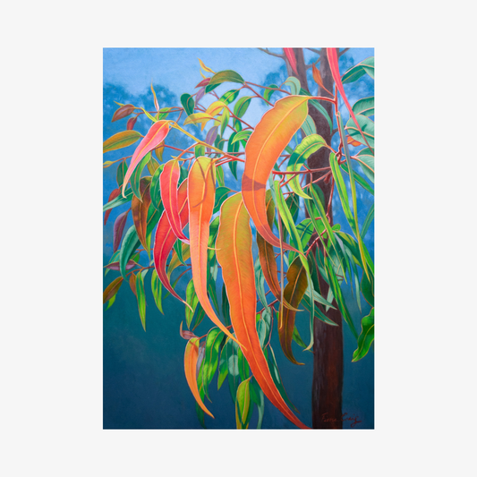 Blue Mountains Gumleaves, 2025