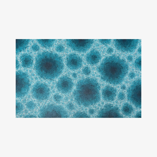 Water, 2025