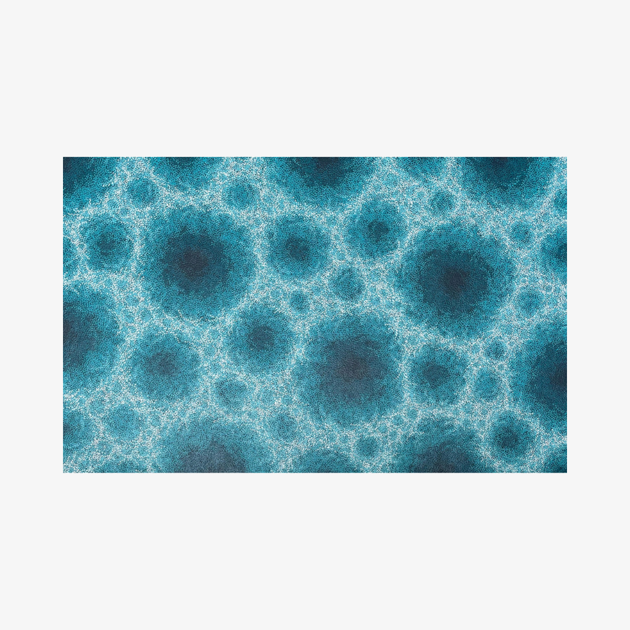 Water, 2025