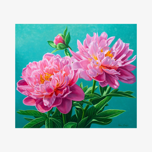 Coral Pink Peonies, 2025