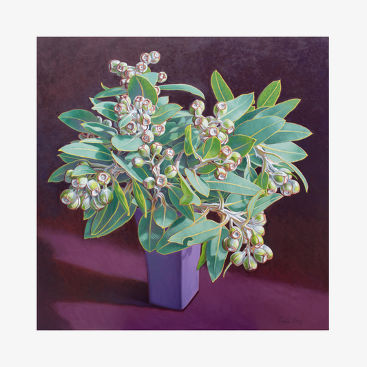 Tetragona Gumnuts, 2026