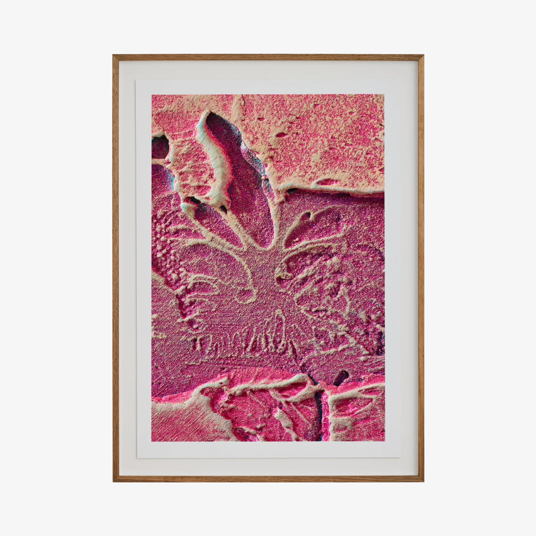 Macro #08, 2025