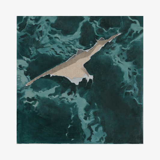 Surface Tension, 2026