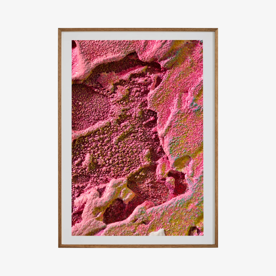 Macro #05, 2025