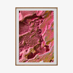 Macro #05, 2025