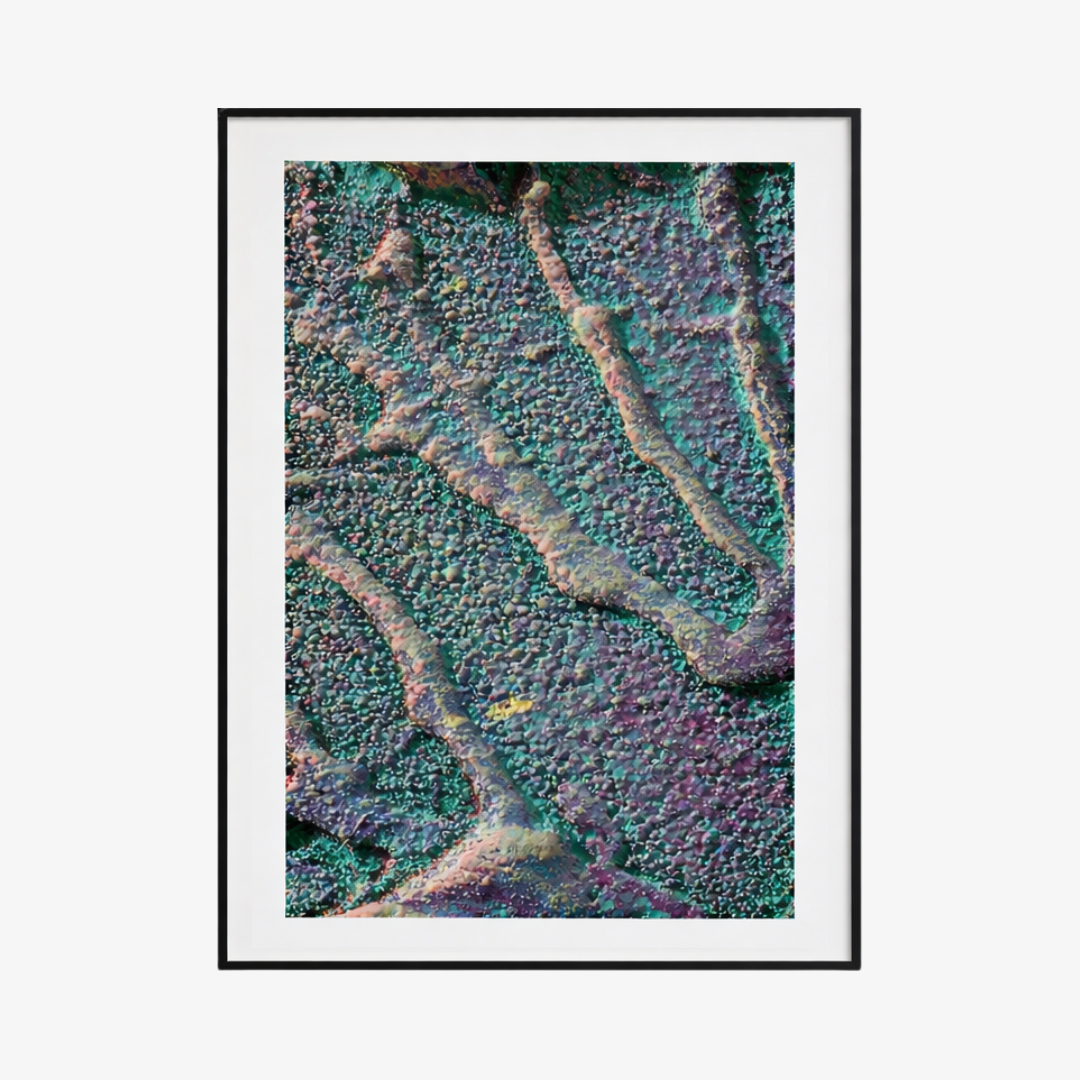 Macro #04, 2025