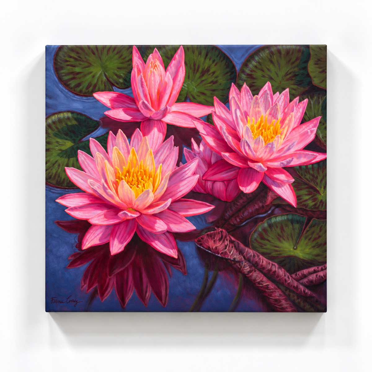 Water Lilies-1