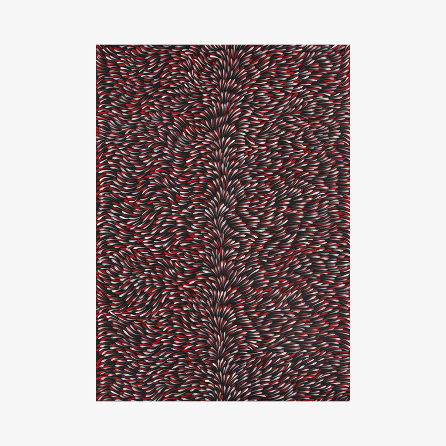 Bush Medicine Leaves, 2015