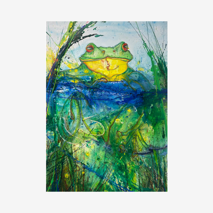 Litoria Gracilenta In The Morning, 2023