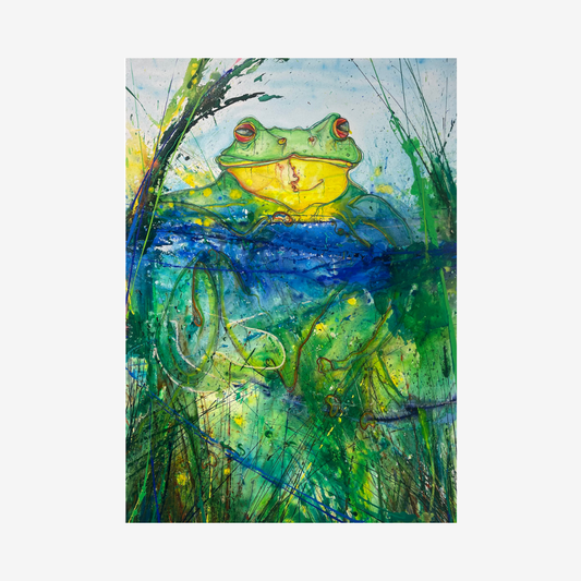 Litoria Gracilenta In The Morning, 2023