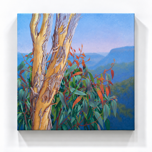 Rejuvenation, Blue Mountains, 2025